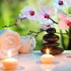  spa websites