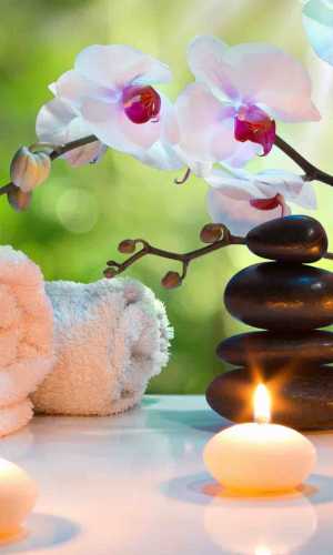 Conditions Of Use Power Spa Websites spa websites